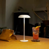 Designer Luxury Modern Decorative Cordless Table Lamp
