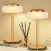 Modern Romantic Dinner Light Table Desk Lamp