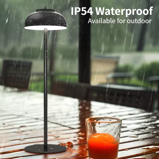 Restaurant Ambiance Light Luxury Romantic Dinner Light
