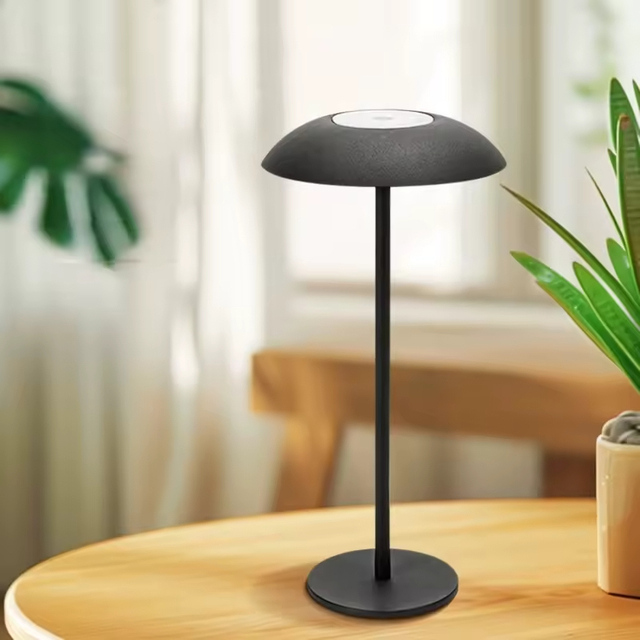Designer Luxury Modern Decorative Cordless Table Lamp