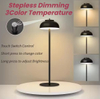 Restaurant Ambiance Light Luxury Romantic Dinner Light