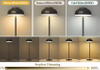 Restaurant Ambiance Light Luxury Romantic Dinner Light