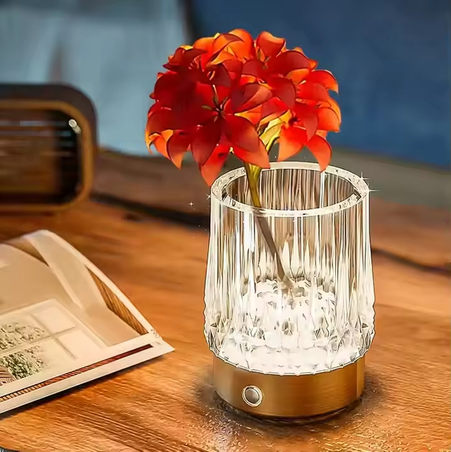 Cordless Hotel Rechargeable Wireless PMMA Desk Lamp