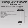 Designer Luxury Modern Decorative Cordless Table Lamp