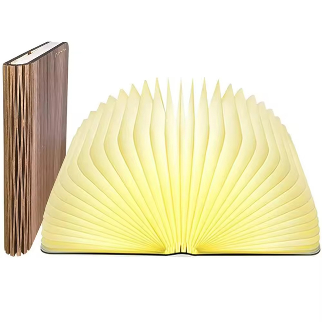 Colorful USB Rechargeable Night Book Light 