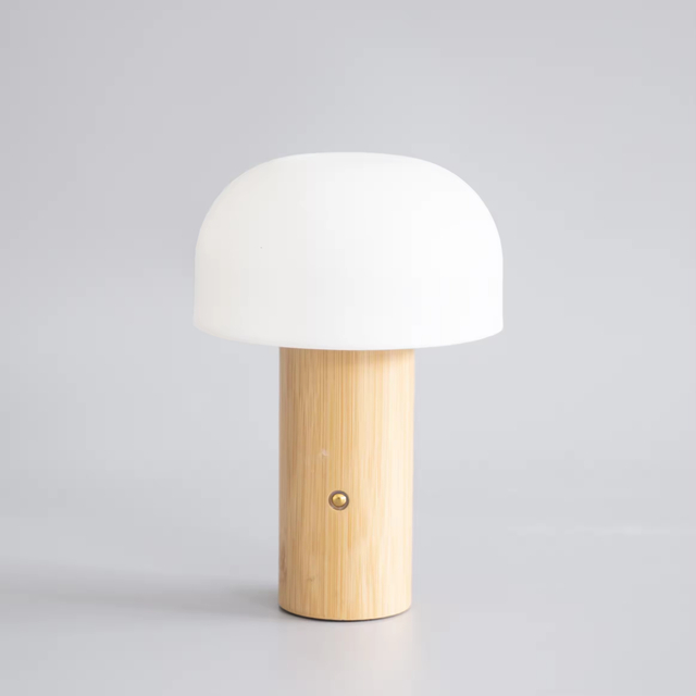 Touch Control Rechargeable Mushroom Night Light k24mr01 