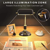 Green Banker Book Reading Brass Table Lamp 
