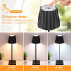 Battery Operated LED Desk Lamp Minimalist Table Lamp K23RGTL-9