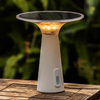 Restaurant Luxury Modern Romantic Dinner Light K24HTT003