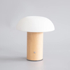 Cordless Touch Control Night Mushroom Light k24mr01 