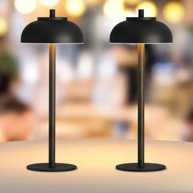 Restaurant Ambiance Light Luxury Romantic Dinner Light