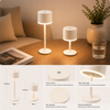 2 in 1 Simple Style LED Battery Decoration Table Lamp