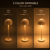 2 in 1 Beige Mini Cordless Table Lamp