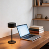 Minimalist Style Mini Cordless Table Lamp
